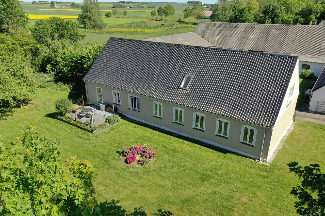 image 04
